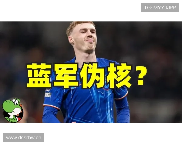 帕尔默的组织核心角色与创造力对战术自由度的依赖分析